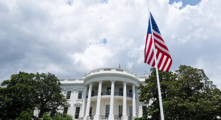 The White House hires security firms to carry out offensive hackback operations