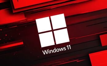 Windows 11 24H2 Home and Pro will reach the end of support in 2 months
