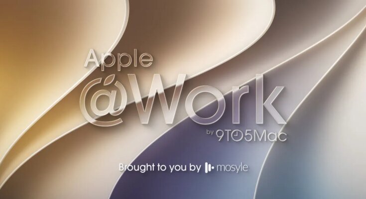 Apple @ Work: Understand the role and rights of Apple business managers Apple @ Work: Understand the role and rights of Apple business managers