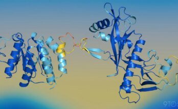 Apple researchers reveal SimpleDesign, a new AI model for protein design