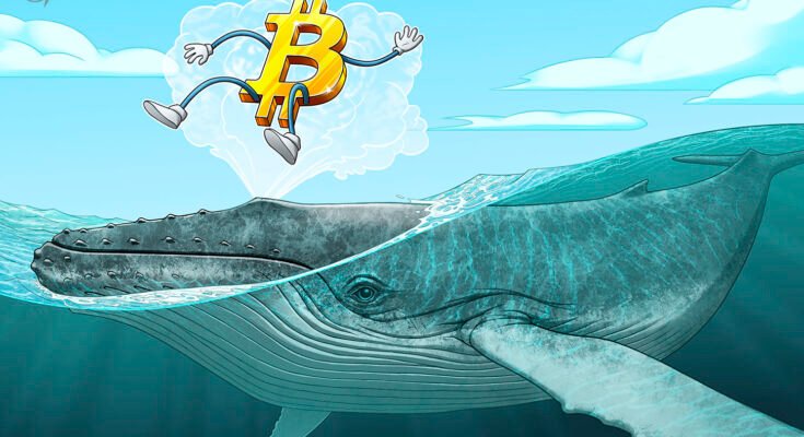 600 BTC mined in 2010 moved after 16 years of dormancy 600 BTC mined in 2010 moved after 16 years of dormancy