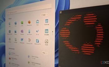 Canonical has removed the Ubuntu 24.04.5 installer because it crashed while trying to do an advanced install.