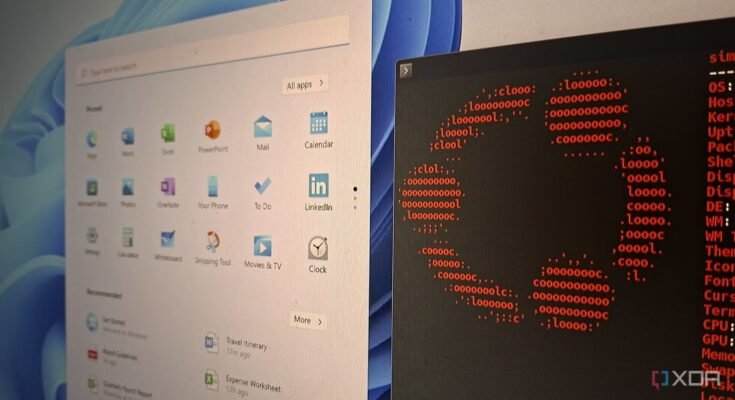 Canonical has removed the Ubuntu 24.04.5 installer because it crashed while trying to do an advanced install.